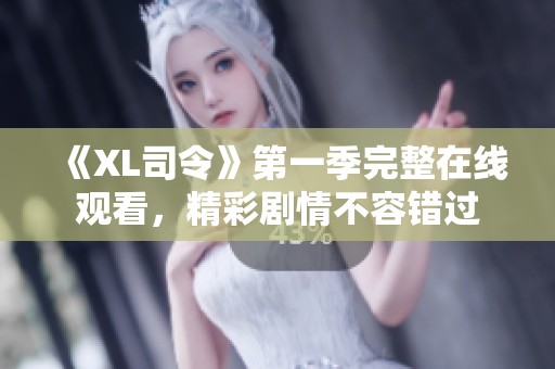 《XL司令》第一季完整在线观看，精彩剧情不容错过