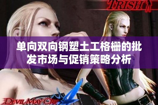 单向双向钢塑土工格栅的批发市场与促销策略分析