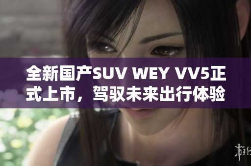 全新国产SUV WEY VV5正式上市，驾驭未来出行体验