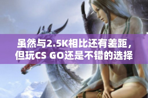 虽然与2.5K相比还有差距，但玩CS GO还是不错的选择