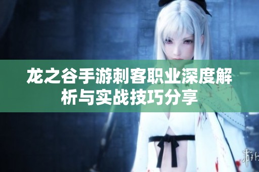 龙之谷手游刺客职业深度解析与实战技巧分享