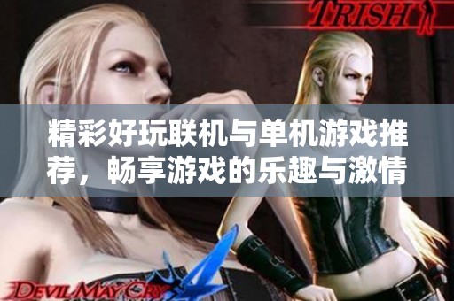 精彩好玩联机与单机游戏推荐，畅享游戏的乐趣与激情