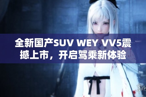 全新国产SUV WEY VV5震撼上市，开启驾乘新体验