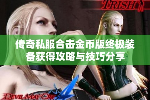 传奇私服合击金币版终极装备获得攻略与技巧分享