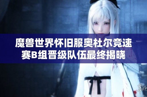 魔兽世界怀旧服奥杜尔竞速赛B组晋级队伍最终揭晓