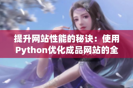 提升网站性能的秘诀：使用Python优化成品网站的全面指南