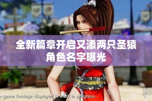 全新篇章开启又添两只圣猿角色名字曝光