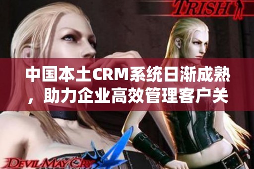 中国本土CRM系统日渐成熟，助力企业高效管理客户关系