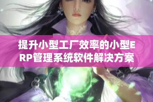 提升小型工厂效率的小型ERP管理系统软件解决方案