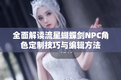 全面解读流星蝴蝶剑NPC角色定制技巧与编辑方法