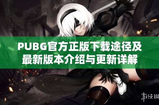 PUBG官方正版下载途径及最新版本介绍与更新详解