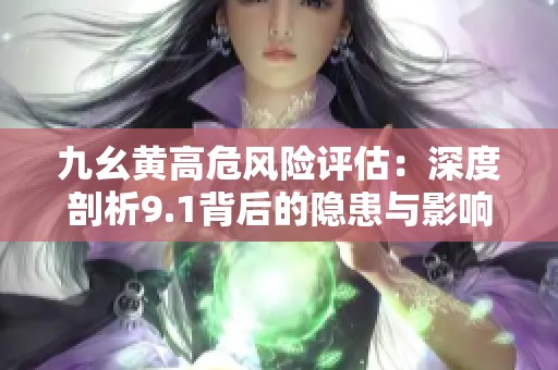 九幺黄高危风险评估：深度剖析9.1背后的隐患与影响