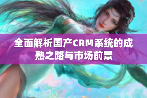 全面解析国产CRM系统的成熟之路与市场前景