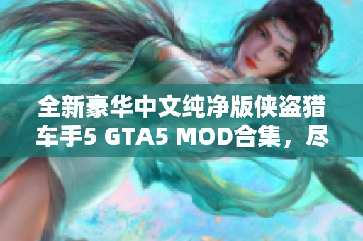 全新豪华中文纯净版侠盗猎车手5 GTA5 MOD合集，尽享极致游戏体验与精彩内容