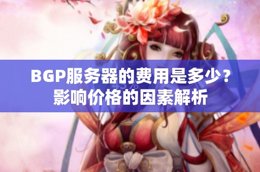 BGP服务器的费用是多少？影响价格的因素解析