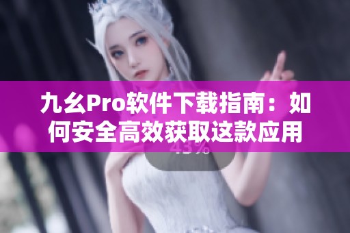 九幺Pro软件下载指南：如何安全高效获取这款应用