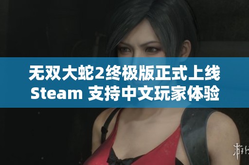 无双大蛇2终极版正式上线Steam 支持中文玩家体验震撼战斗乐趣