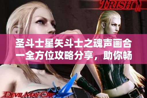 圣斗士星矢斗士之魂声画合一全方位攻略分享，助你畅玩游戏无忧