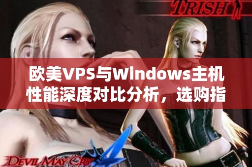 欧美VPS与Windows主机性能深度对比分析，选购指南解析