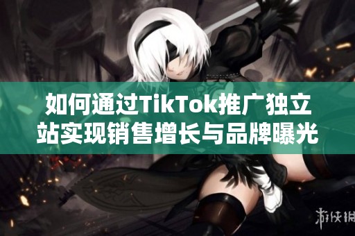 如何通过TikTok推广独立站实现销售增长与品牌曝光