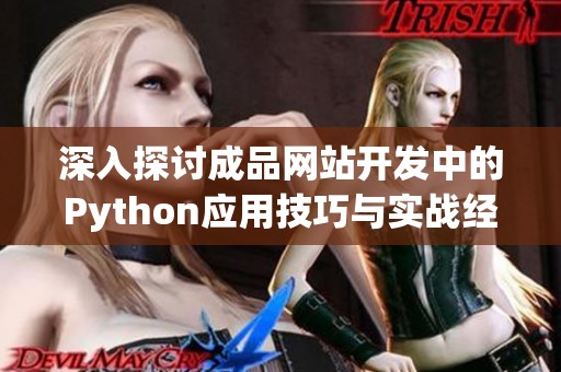 深入探讨成品网站开发中的Python应用技巧与实战经验