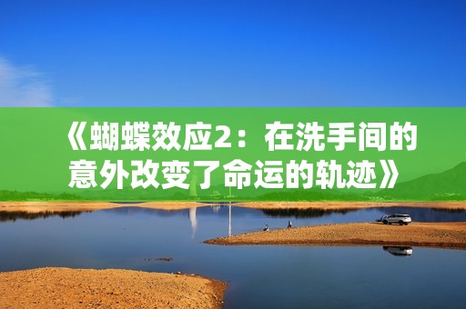 《蝴蝶效应2：在洗手间的意外改变了命运的轨迹》