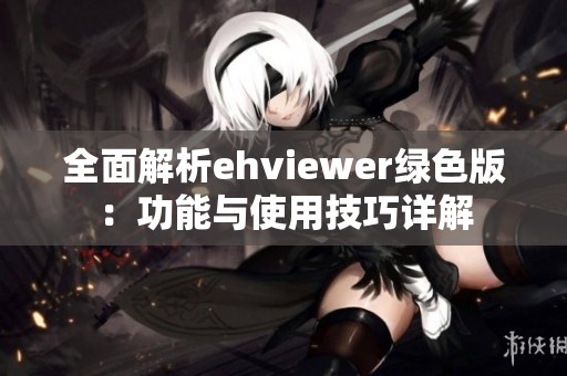 全面解析ehviewer绿色版：功能与使用技巧详解