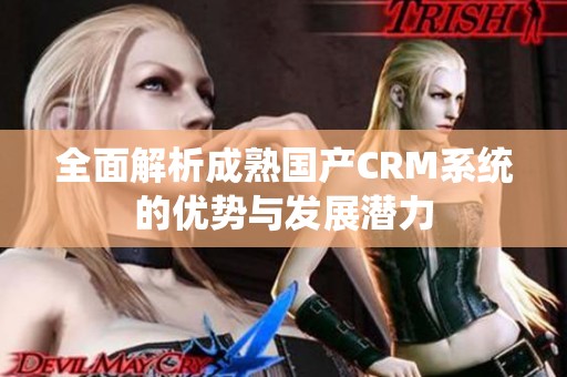 全面解析成熟国产CRM系统的优势与发展潜力