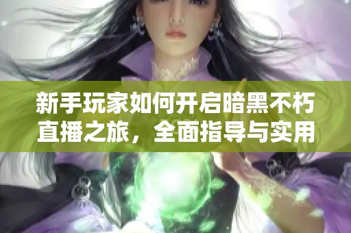 新手玩家如何开启暗黑不朽直播之旅，全面指导与实用技巧分享