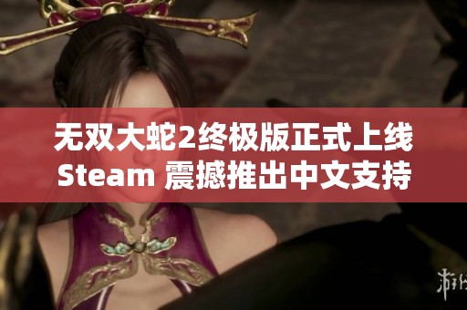 无双大蛇2终极版正式上线Steam 震撼推出中文支持让玩家尽享热血战斗体验