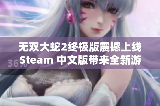 无双大蛇2终极版震撼上线Steam 中文版带来全新游戏体验