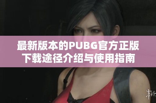 最新版本的PUBG官方正版下载途径介绍与使用指南