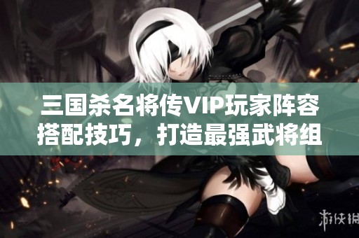 三国杀名将传VIP玩家阵容搭配技巧，打造最强武将组合攻略