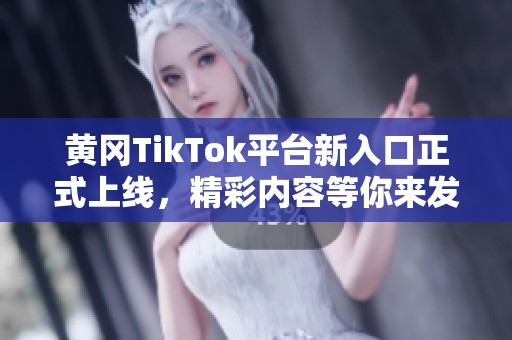 黄冈TikTok平台新入口正式上线，精彩内容等你来发现