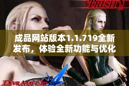 成品网站版本1.1.719全新发布，体验全新功能与优化更新