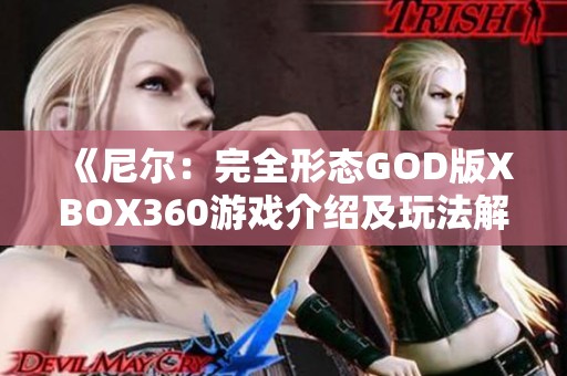 《尼尔：完全形态GOD版XBOX360游戏介绍及玩法解析》