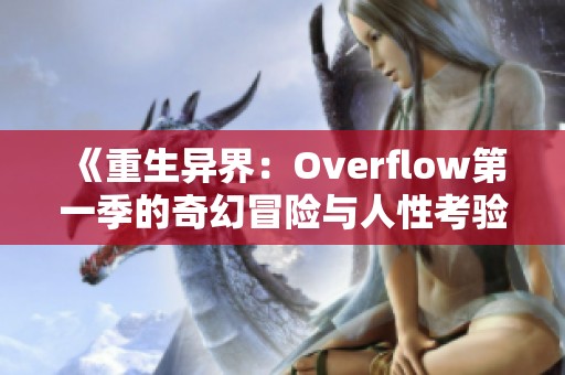 《重生异界：Overflow第一季的奇幻冒险与人性考验》