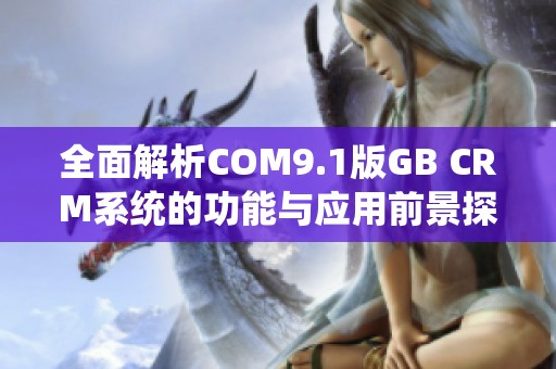 全面解析COM9.1版GB CRM系统的功能与应用前景探讨