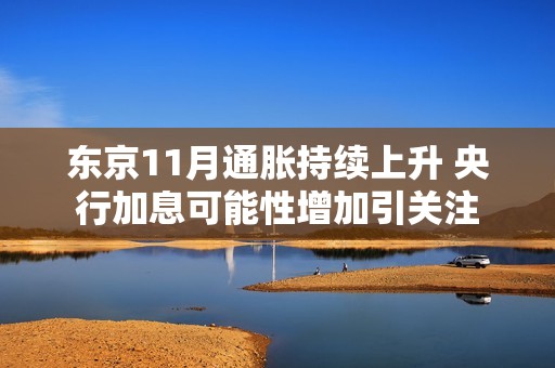 东京11月通胀持续上升 央行加息可能性增加引关注