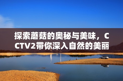 探索蘑菇的奥秘与美味，CCTV2带你深入自然的美丽世界