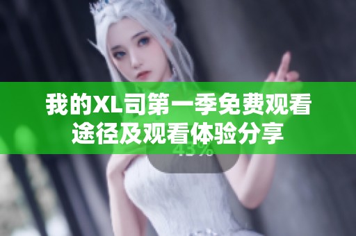 我的XL司第一季免费观看途径及观看体验分享