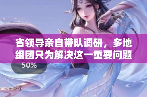 省领导亲自带队调研，多地组团只为解决这一重要问题