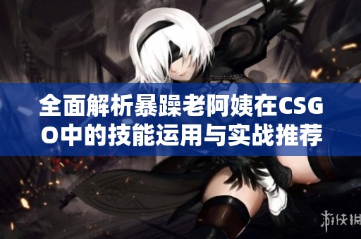 全面解析暴躁老阿姨在CSGO中的技能运用与实战推荐合集