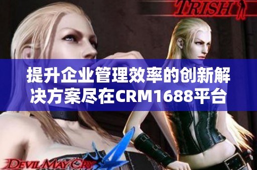 提升企业管理效率的创新解决方案尽在CRM1688平台