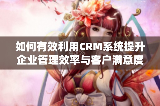 如何有效利用CRM系统提升企业管理效率与客户满意度