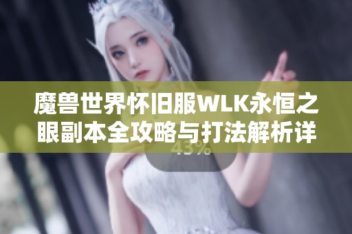 魔兽世界怀旧服WLK永恒之眼副本全攻略与打法解析详解