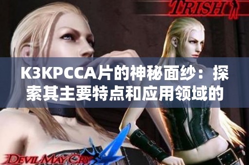 K3KPCCA片的神秘面纱：探索其主要特点和应用领域的全新解析